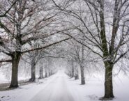 How to Use the John Deere 35G for Property Improvements Before Winter
