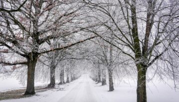How to Use the John Deere 35G for Property Improvements Before Winter