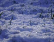 Keeping Lawns Healthy Through Winter with the Right Equipment