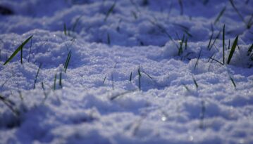 Keeping Lawns Healthy Through Winter with the Right Equipment