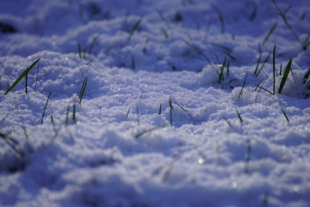 Keeping-Lawns-Healthy