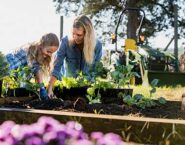 Starting a new garden