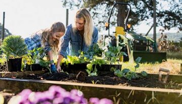 Starting a new garden