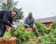5 Tips for Home Gardening