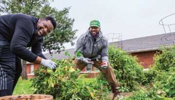 5 Tips for Home Gardening
